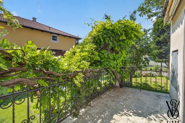 Erdgeschoss: Terrasse mit alter Glyzinie am schmiedeeisernen Geländer