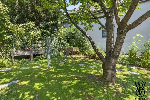 Garten mit Hochbeeten und altem Baum