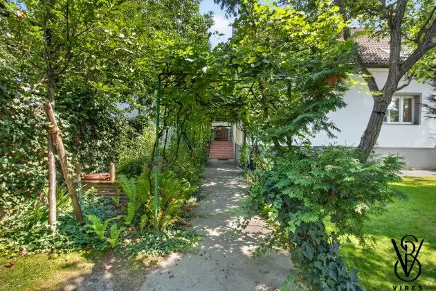 Garten: Weg unter der Pergola zum Haus