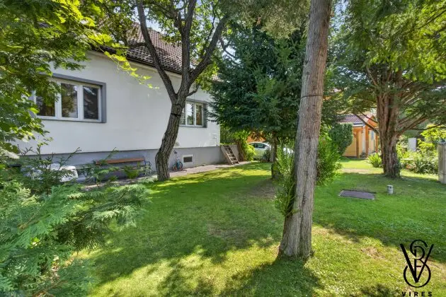 Garten mit altem Baumbestand