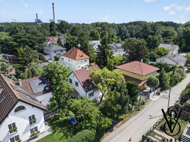 Luftbild: Siedlung mit altem Baumbestand